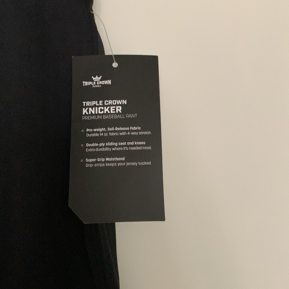 NWT champro baseball pant - Picture 3 of 4